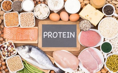 Protein có trong nhiều loại thức ăn