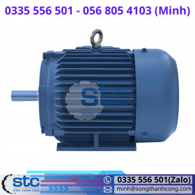 Q100HQ3B2KW Động cơ motor Higen