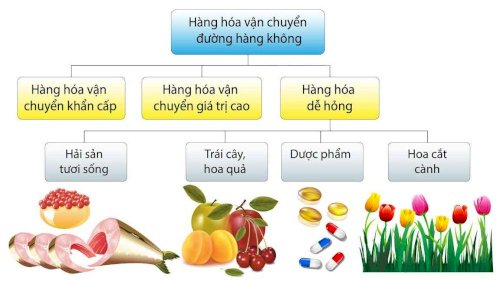  Các loại hàng hóa vận chuyển bằng đường hàng không