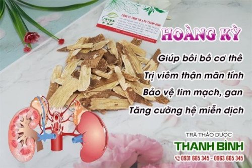 Hoàng kỳ Thảo dược Thanh Bình