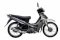 Yamaha Jupiter MX 2009 Bạc Phanh cơ