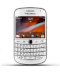 BlackBerry Bold Touch 9900 (BlackBerry Dakota/ BlackBerry Magnum) White